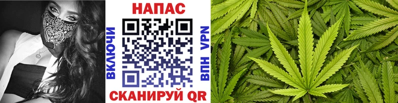 Конопля Bruce Banner Псков